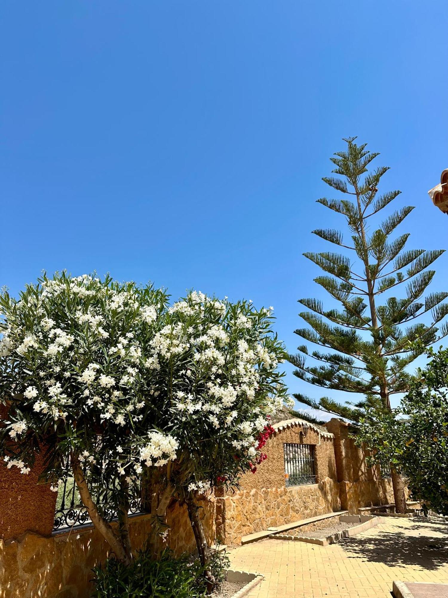 Casa Rural El Pomelo Zurgena Exterior foto